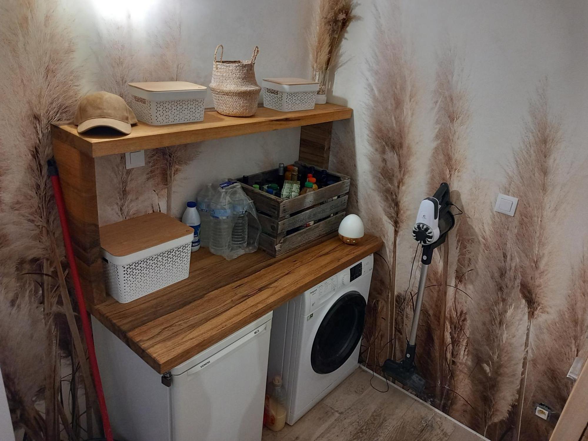 Villa 4 Chambres Avec Jacuzzi Saint-Maximin エクステリア 写真